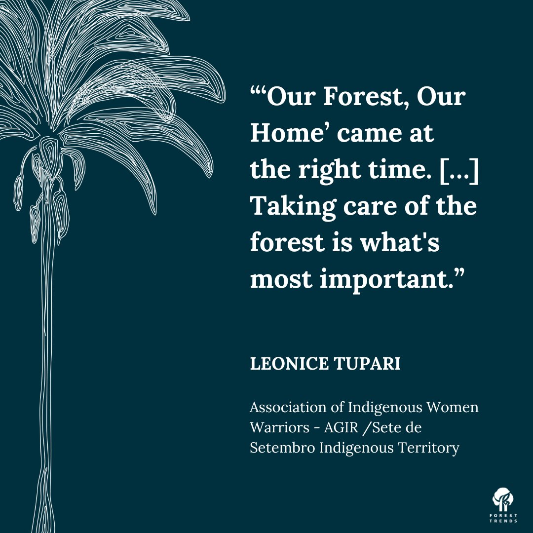 Nossa Floresta, Nossa Casa: 1 milhão de árvores: Refletindo sobre os impactos @arborday youtu.be/IMrbCd1RRr8?si…