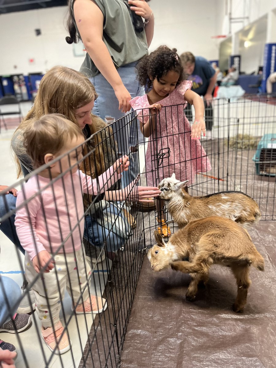 Our Early Childhood Education classes enjoyed the Spring Fling festival that we hosted for members and families! 🌷☀️ They had so much fun bouncing around, petting baby goats, potting plants, and more! #WeAreDorchester