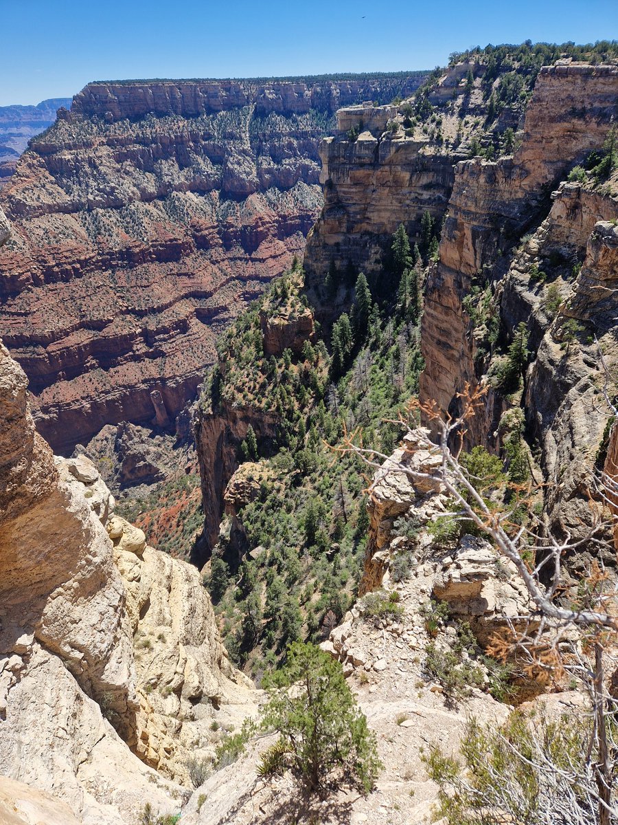 Just found the site where the #Lithium shorts are going to get buried. #grandcanyon