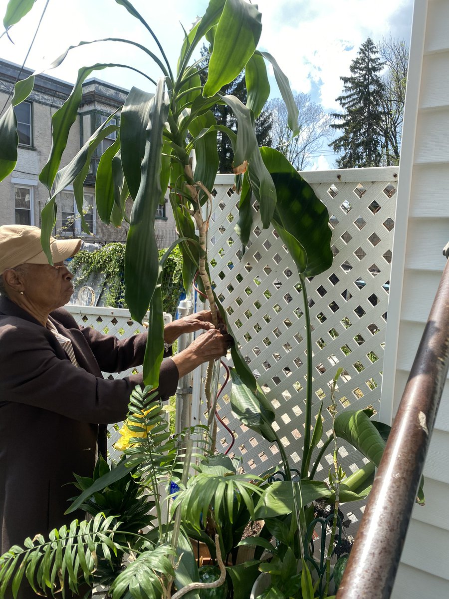 It always brings me so much joy to help my nana bring her plants outside every spring. 🌱🪴