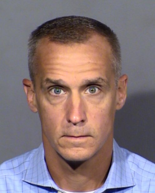 Corey Lewandowski looks like the creepy guy in the trailer park who tries to sleep with everyone in exchange for helping them hang up a fan.