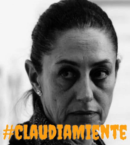 @Claudiashein #ClaudiaMentirosaSerial 
#ClaudiaNarcoCandidata