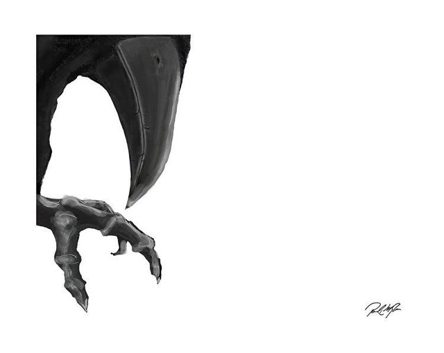 MaryLong9064's tweet photo. <<<<<<<<
BIG BEAK
>>>>>>>>

BY PAUL MICHAEL GLASER

#digitalpainting
#intimidating
#toocloseforcomfort
#uhoh
#IGotYouNow
#pmglaserart

https://t.co/jdrCqGf0iY https://t.co/sHtwtjH0O0