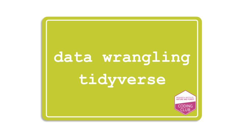 Data wrangling with tidyverse? Challenge yourself! @INBOVlaanderen 's coding club of April is online! Slides: bit.ly/49XGX0b Webinar: bit.ly/4dgo1g9 Homepage: bit.ly/49dA1w4 🩷 #OpenScience #rstats #DataScience