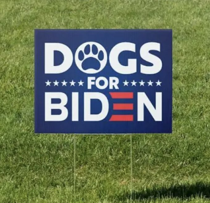 JhillyB's tweet photo. It's SO hard 4 me 2 believe that a human being—a MOM, no less, would shoot a defenseless puppy! My ♥ hurts! As 4 the gov of SD, I think she should B arrested 4 homicide. Isn't that considered murder of a living, breathing being?! #GOPProLife ONLY applies 2 humans?! #Hypocrites https://t.co/Epbrr79Qh1
