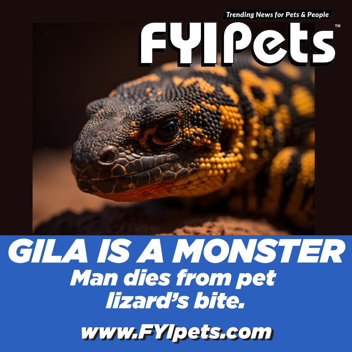 FYIpets.com

#fyipets #gilamonster #reptiles #lizards #exoticpets #petowners #petlovers #animallover #animalbites #petlizard #petreptile #reptilelover #lizardlover #venom #venomousreptiles #PetHazards #hazardouspets #exoticpetcare #exoticpetlovers