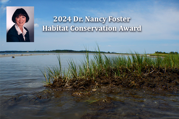 Do you know someone who has demonstrated exceptional achievement and dedication to marine, coastal, or riverine habitat conservation? Nominate them for the 2024 Dr. Nancy Foster Award! Applications due June 1. fisheries.noaa.gov/feature-story/…