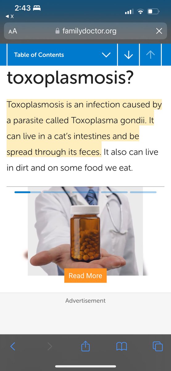 If y’all are wondering why I call @catturd2 toxoplasmosis all the time…