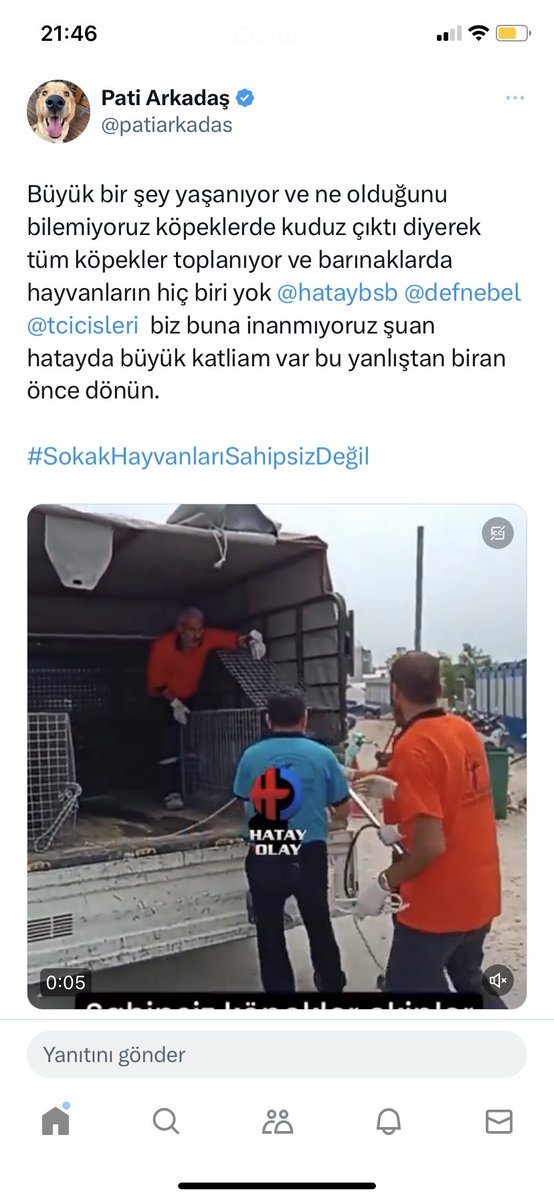 Ben artık bir şey demiyorum. Komplo teoricisi, delirmiş falan olmadığıma eminim sadece.