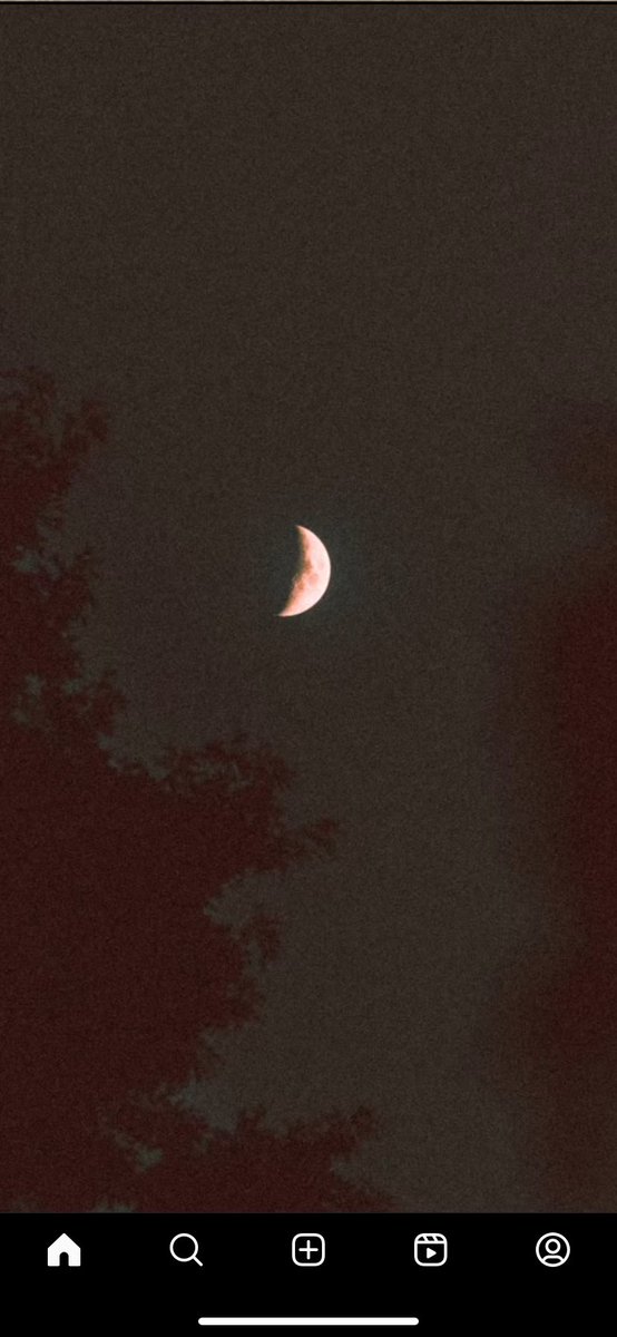 Reuben_Snake's tweet image. 