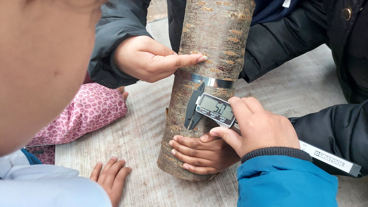 rootstofruit202's tweet photo. @PercyShurmerAET are the first primary to engage with the stunning work being undertaken by @BIFoRUoB as they strive to understand the role trees play in the survival of our planet.
Many important eyes were on them today, &amp; they soared to the challenge!
@AETAcademies @mrsrmurad https://t.co/b8wPGocCY2