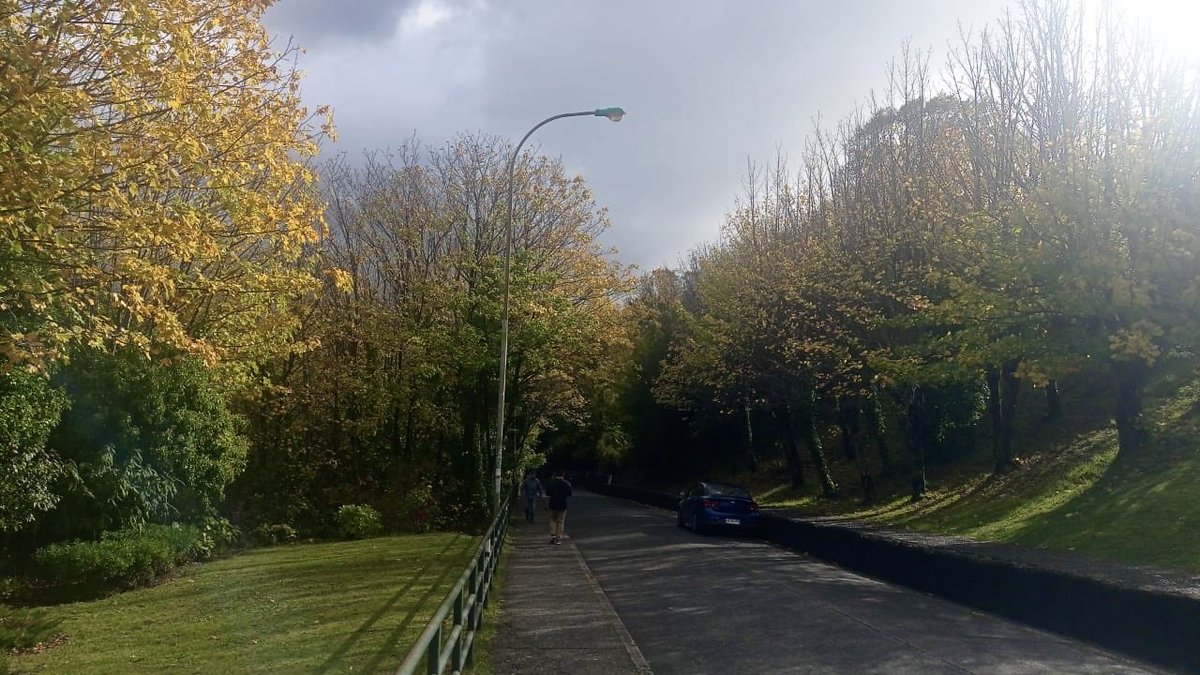 Qué linda la calle que baja al centro…de Puerto Montt
📸 Ricardo Aracena