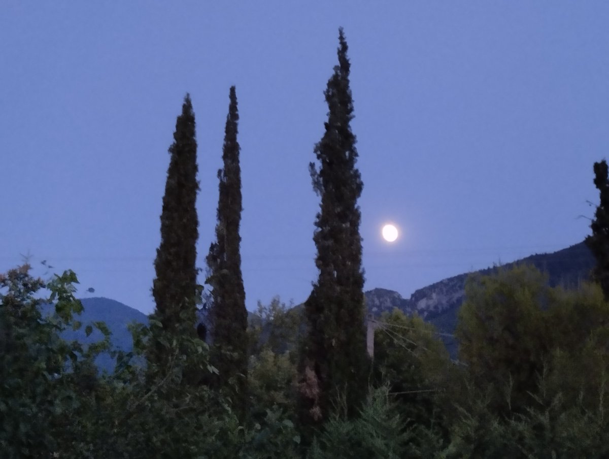 Δόξα τω Θεώ, επανήλθαμε. Να προσέχετε, να προσέχετε πολύ, ΔΕΝ είμαστε άτρωτοι !! #WeArePorfyras #paobc #olympiacosbc #aekbc #ΠαιδοκαρδιοχειρουργικοΑγιαΣοφια #παρνασσο