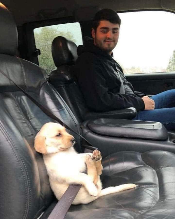 First car ride❤️