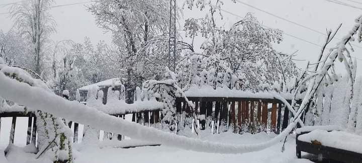 #NeelumValley #AJK #Arngkel #SnowFall #WeatherUpdate