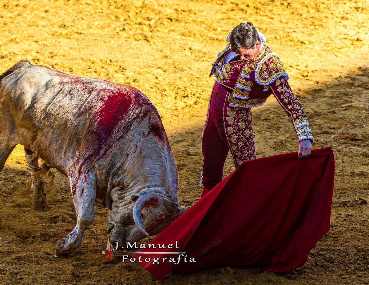 Galería completa de la corrida en Ávila <a href="/90rubensanchez/">Rubén Sánchez</a> <a href="/InfoMAPerera/">Miguel Ángel Perera</a> <a href="/sergiorguez_sr/">Sergio Rodríguez</a> <a href="/InfoDanielLuque/">Daniel Luque</a> facebook.com/share/67gWNrtH…?
