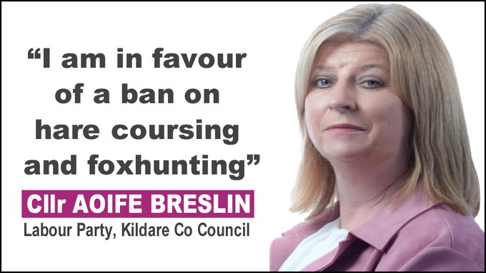 “I am in favour of a ban on hare coursing and foxhunting” - #LE2024 candidate Cllr Aoife Breslin (Labour Party, #Kildare #Athy) 👍👍 banbloodsports.wordpress.com/2019/10/28/kil… #LE24 Support compassionate candidates