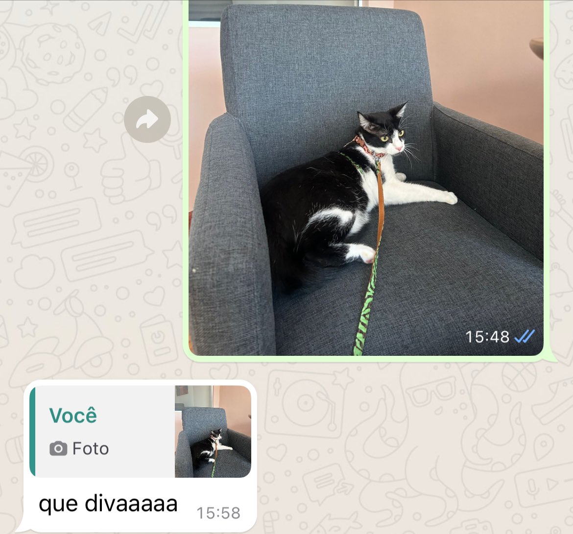 aviadei meu namorado