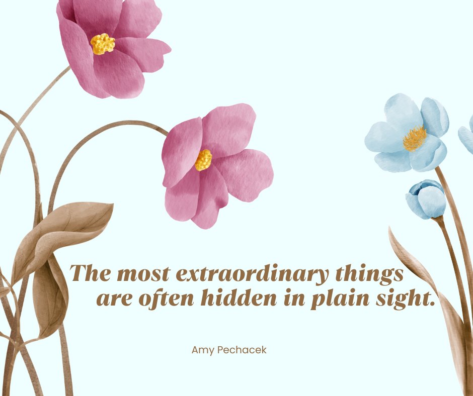 The most extraordinary things are often hidden in plain sight. Look closely, and you'll find beauty in the ordinary.