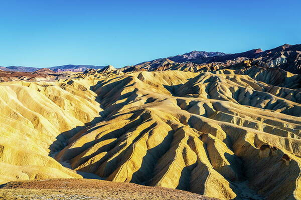 Check out this new photograph that I uploaded to fineartamerica.com! fineartamerica.com/featured/zabri… 
#California #DeathValley #nationalparks #landscape #desert #Travel #TravelTheWorld #fineartphotography #artforsale #onlineshopping 
@BigEyePhotos