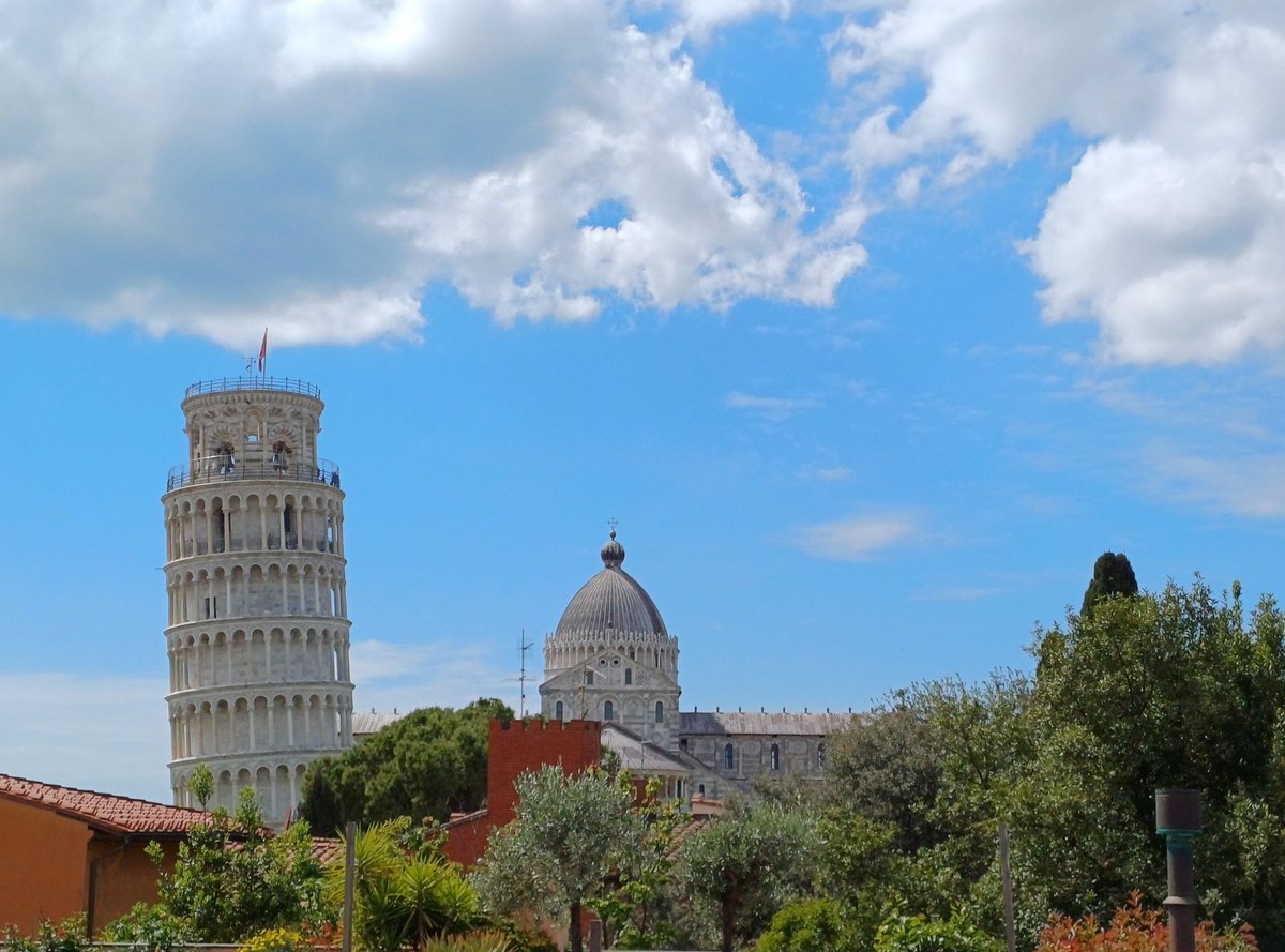 Quando mio figlio ci ha chiesto se Piazza dei Miracoli è lo stesso Campo dei Miracoli dove Pinocchio aveva seppellito gli zecchini d'oro, quello che secondo il Gatto e la Volpe era tanto miracoloso da far crescere in pochi minuti un albero di monete, all'inizio abbiamo sorriso.