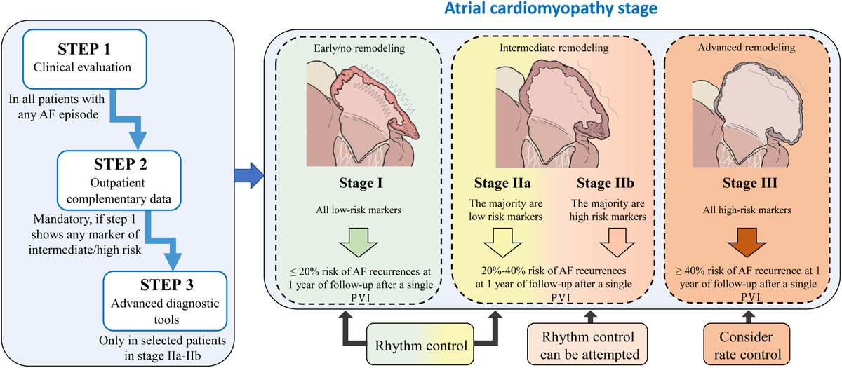 Practical approach for atrial cardiomyopathy characterization in patients with atrial fibrillation #REC #AheadOfPrint @LluisMont2 @MoisesManero @AndreaSarkozy @joselmerino @docvivas @TomasDatino @jvillacastin @lsanchisruiz @FilgueirasRama revespcardiol.org//en-practical-…