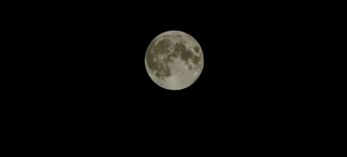 BoyLuaMine1's tweet photo. 许久不见～
忙起来很充实，但还是希望能偶尔闲下来，读读闲书弹弹闲琴，让自己不至于忘了自己爱的人和事
以前看夏目漱石，把“我爱你”译成“今夜月色很美”，以为自己看懂了，无非是东方人的含蓄
今夜月亮很圆，特别想分享出去，忽然明白了那是怎样一种心情，那是和含蓄无关的东西 ，反而很直接，很直白 https://t.co/91KGpTR8cU