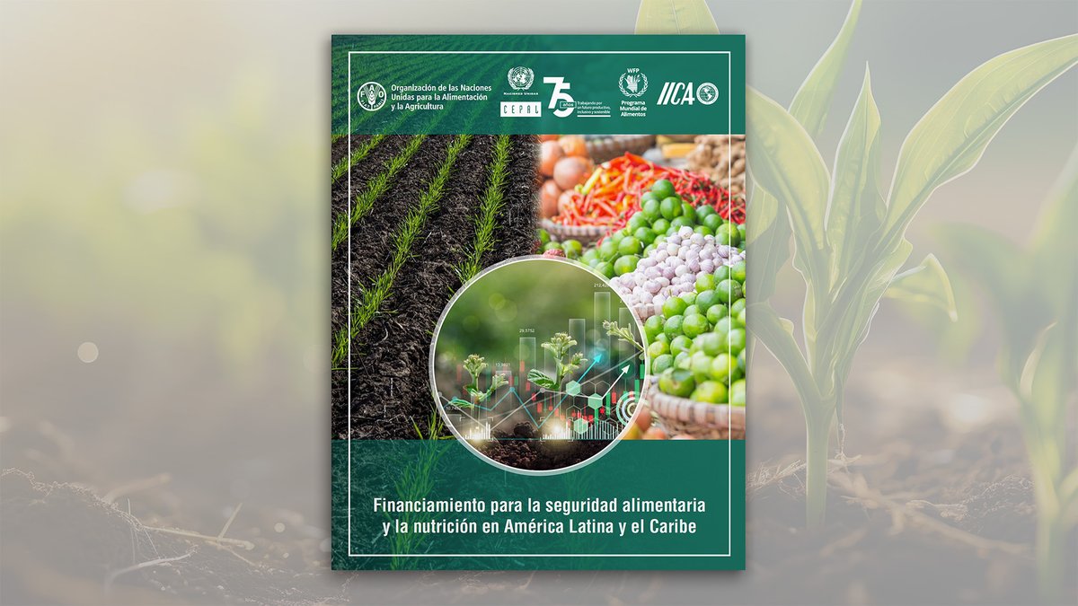 Informe @FAOAmericas #CEPAL @WFP_es e @IICAnoticias: No erradicar el hambre y la malnutrición en #ALC tiene costo superior al de las soluciones. Reporte conjunto indica el costo de la inacción representa en promedio 6,4% del PIB de los países estudiados. 📰bit.ly/3wg0qvu