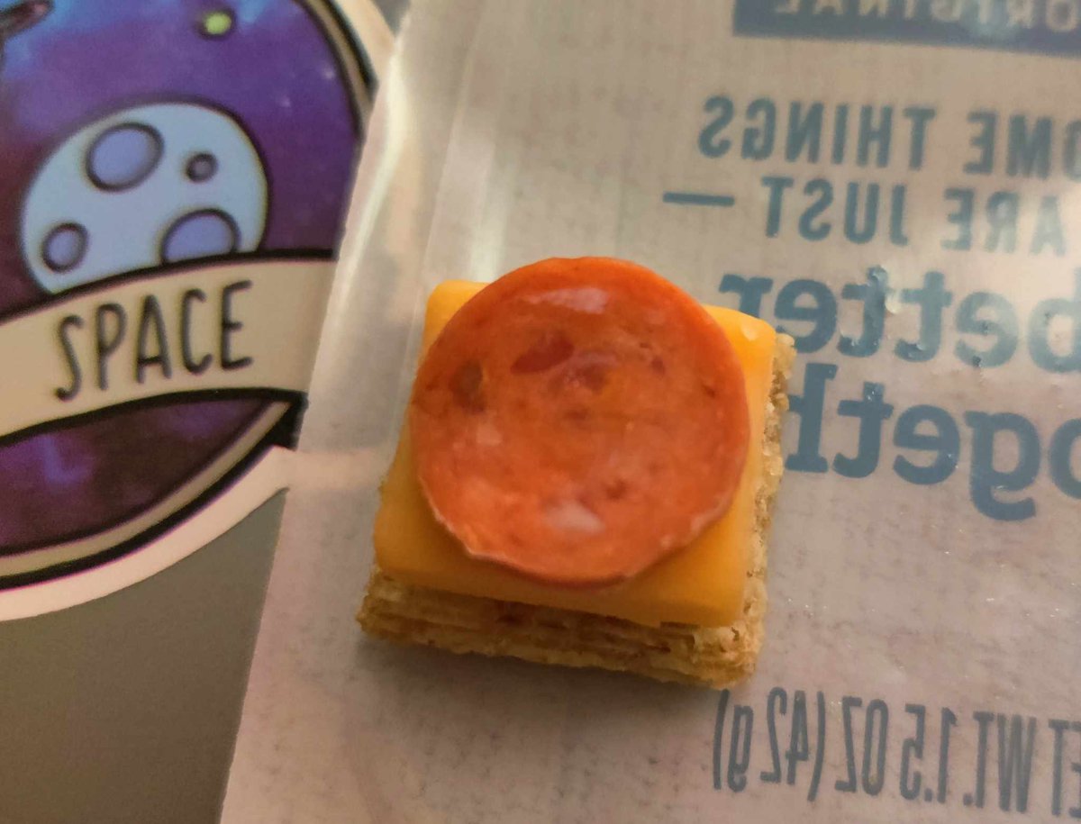 What is this, Lunchables for ants!?