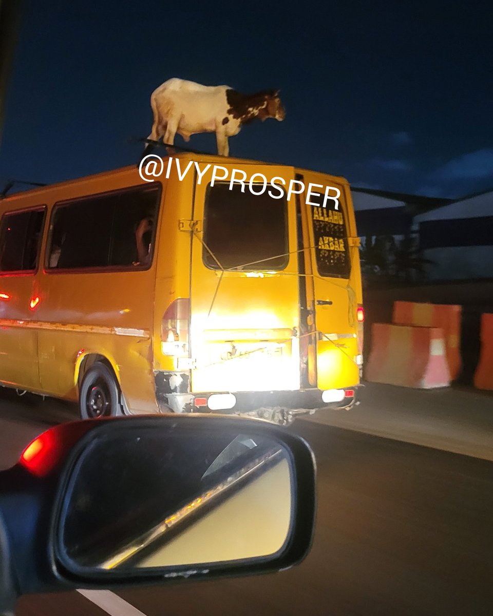 I wanted to capture a video of this but my phone memory was full. So I captured a photo while driving on the Accra-Tema motorway. With all the potholes and bumps on the road...it will be a lot for him to survive standing on top.