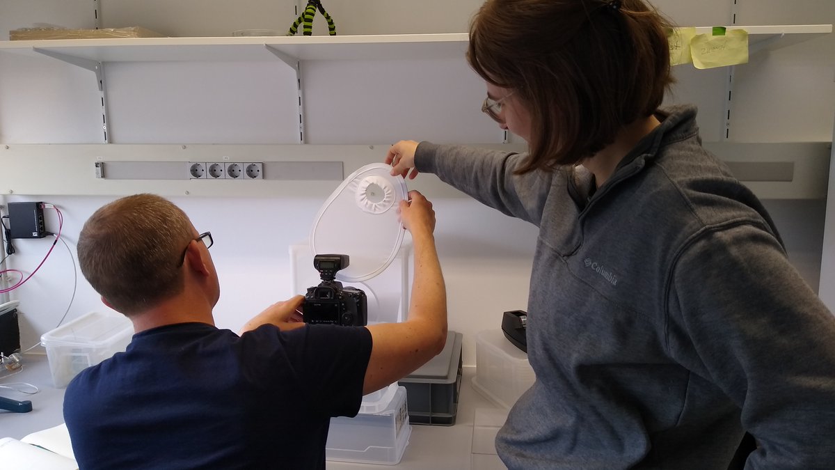 Paul Huber tweet media