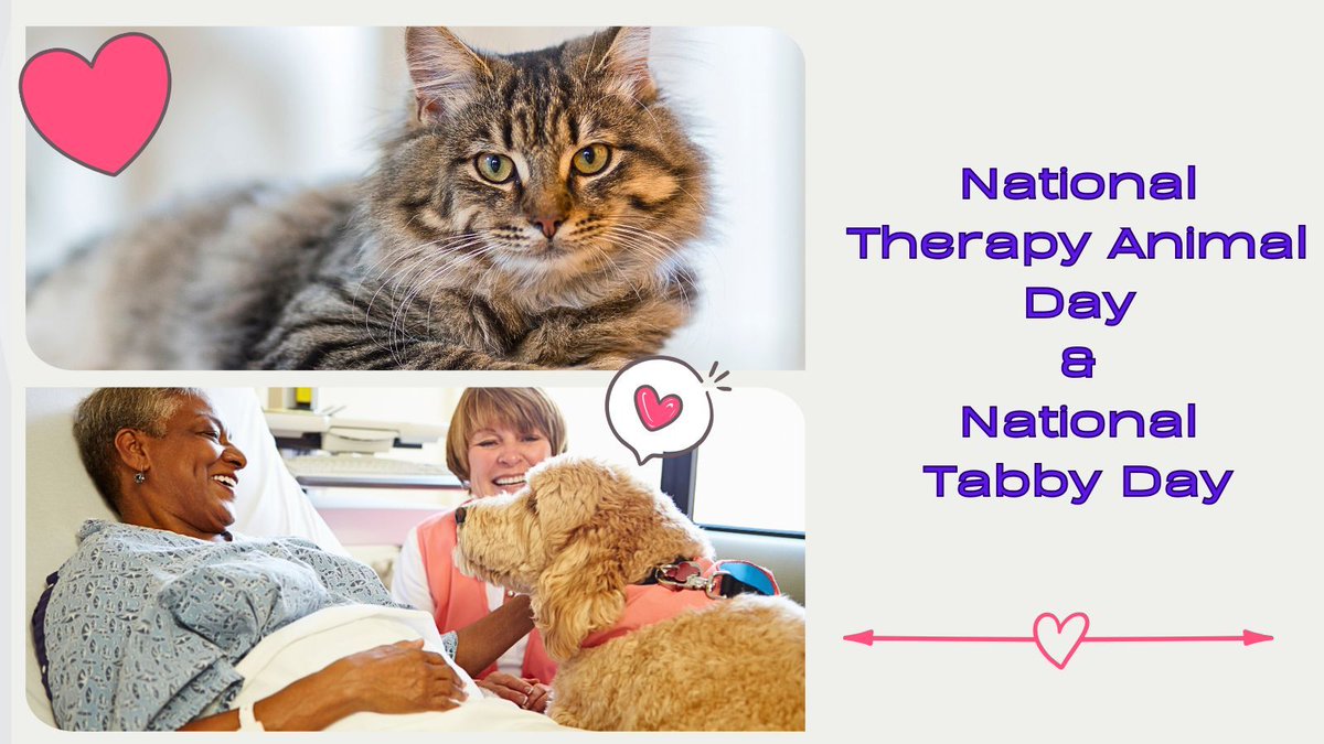 🐾 🎉 Today, we're celebrating 2 occasions: Therapy Animal Day and Tabby Cat Day! Let's take a moment to honor these purr-fect pets.

#petsitter #stpete #stpetersburgflorida #maderia #pinellas #dogs #catfacts #cats #catlovers #dogfacts #doglovers #PetTips #HealthyPets
