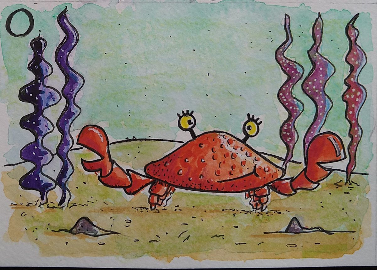 @AnimalAlphabets #AnimalAlphabets good evening. This week's the letter O for #Ocean , technically this is Ocean floor but it won't tell if you don't. 😁👍