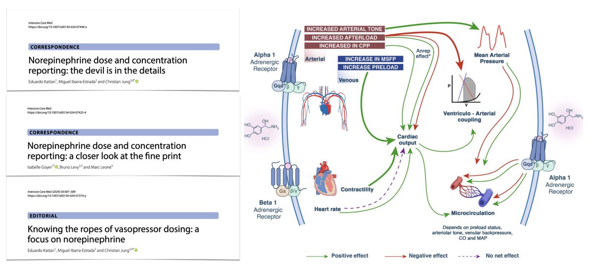 💉 Norepinephrine dose & concentration reporting Homogenizing practice to provide safer/more efficient care 🔓 rdcu.be/dGaxN 💉On comment on NE dose reporting/compounding 🔓 rdcu.be/dGayF 💉Refer to editorial focusing on NE dosing 🔓 rdcu.be/dGazg