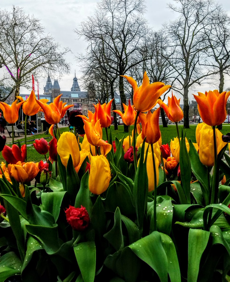 Prints on metal are available! 🙌

Get 30% off with code MOM2024 through tomorrow (end of month).

Link in bio!

Shown here: 'Amsterdam & Tulips #2'

#mothersdaysale #discover #art #travelerrandy