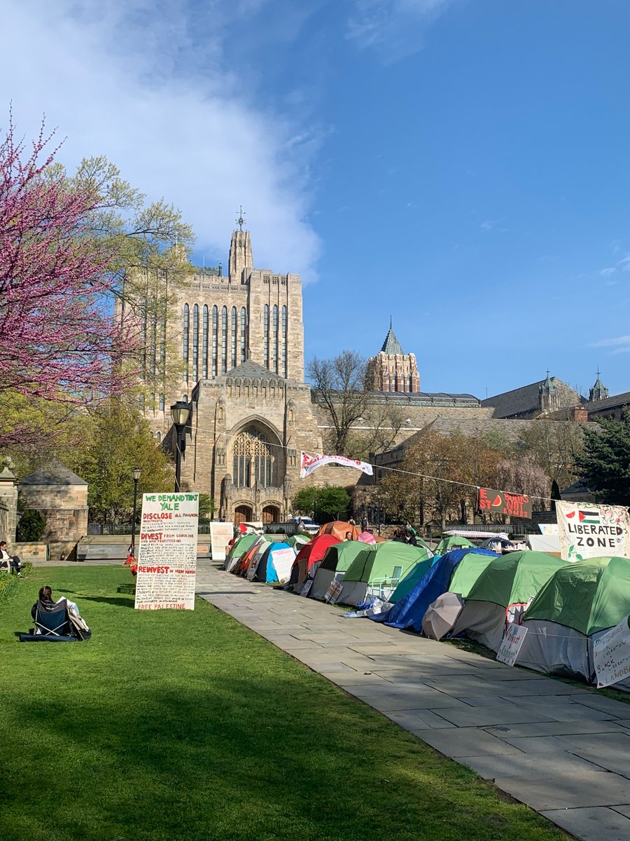 Yale this morning