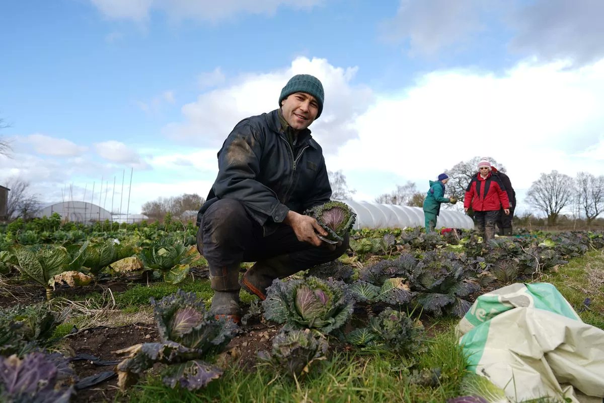 Meet the community farm helping Coventry city reconnect with its food. From farm to fork: Five Acre Community Farm has been recognised for its efforts in helping grow a greener, biodiversity-based food movement in Coventry and Warwickshire in the UK. coventrytelegraph.net/special-featur…