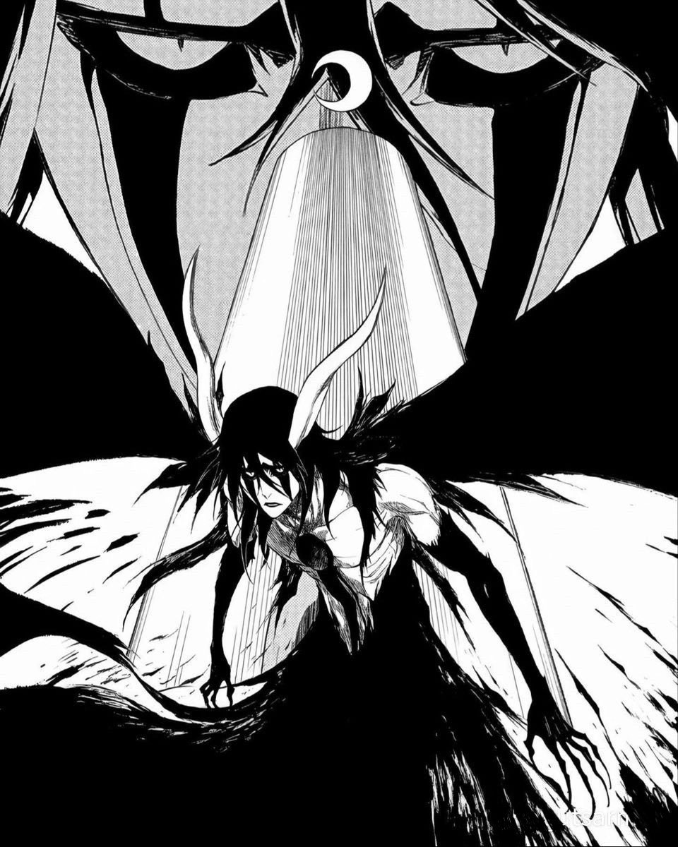 Mr.Thad-K (Fibonacci Bre) tweet media