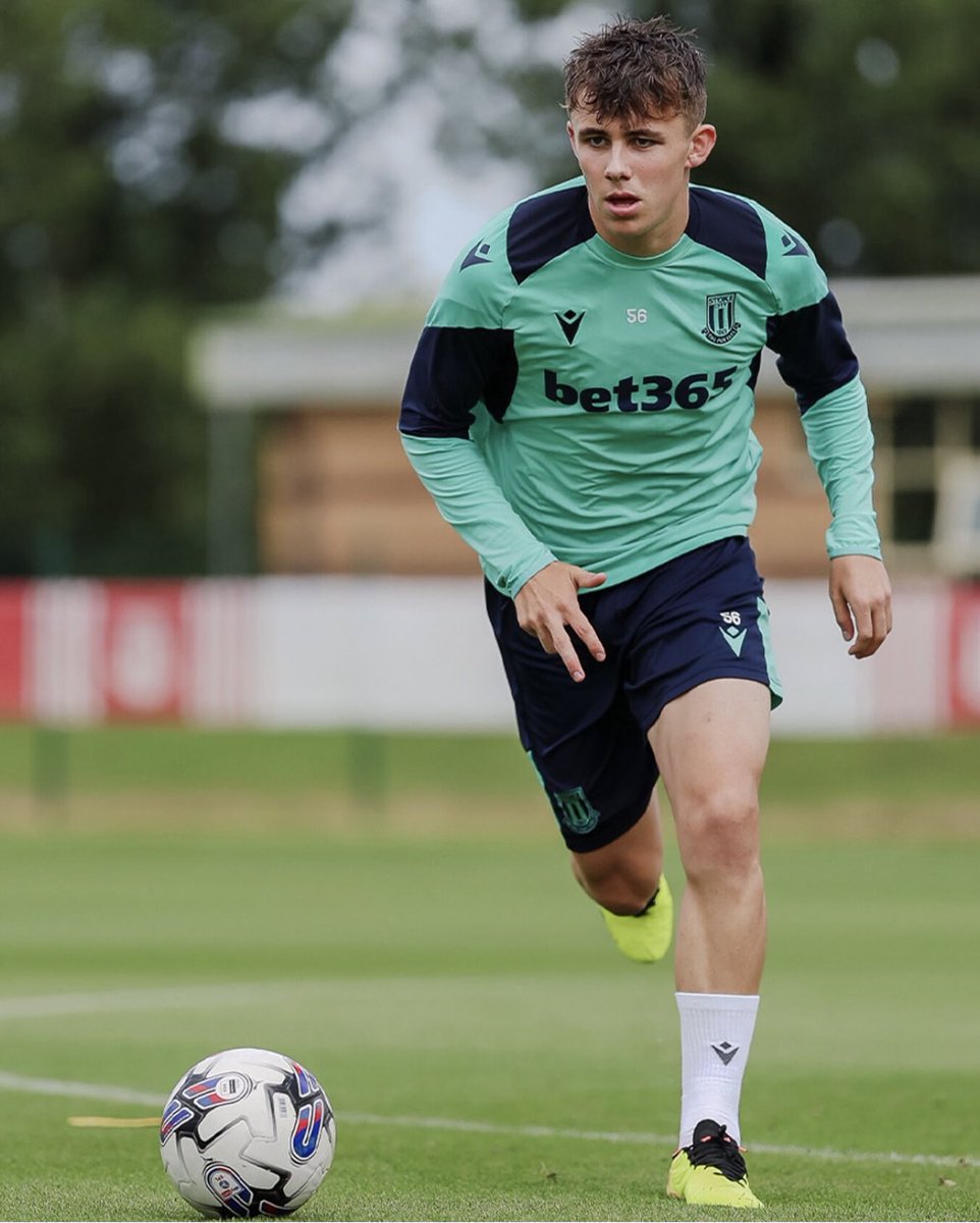 tomsparrow tweet media