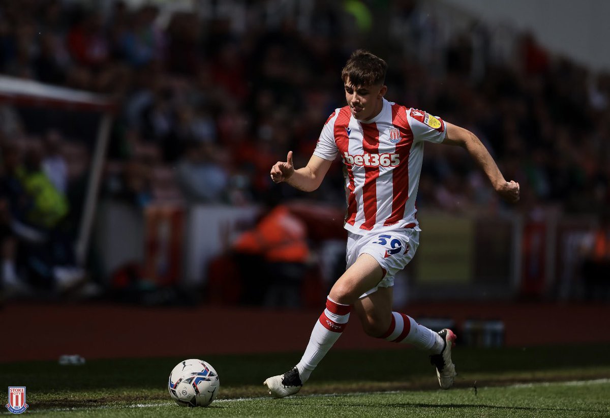 tomsparrow tweet media