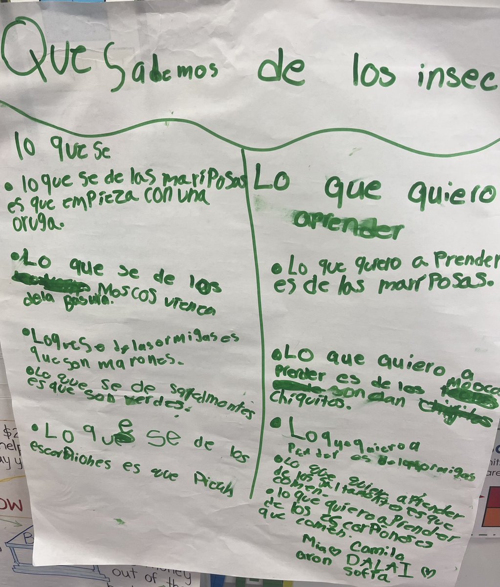 How much do you know about insects?🐞/Cuanto sabes de los insectos?🐞