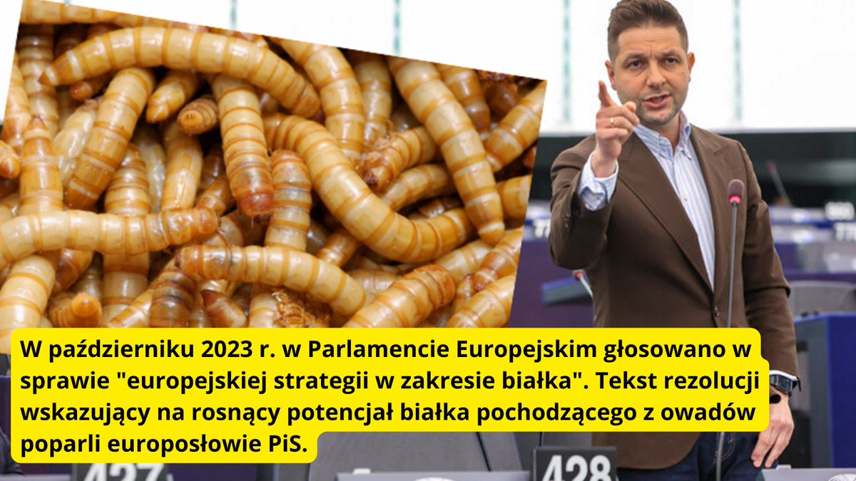 19 października 2023 za rezolucją w sprawie potencjału białka pochodzącego z owadów głosowali przedstawiciele PiS, m.in. Brudziński, Jaki, Kempa, Szydło, Poręba, Ryszrd Czarnecki i Możdżanowska. WCZEŚNIEJ OSTRZEGALI! tvn24.pl/swiat/zywnosc-…