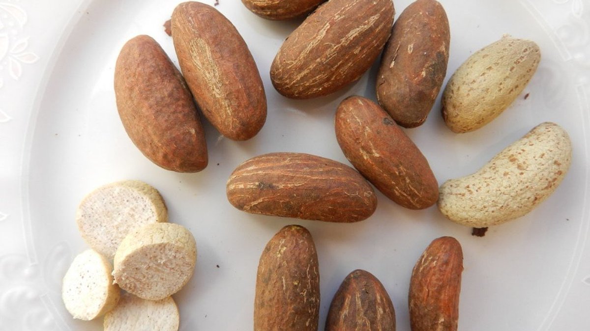 HerbalistChief's tweet photo. Grate bitter Kola and soak it in coconut juice for two days. Drink the extract first thing in the morning. 

Your horsepower will triple💪🏽🔥. Nature heals. https://t.co/kaVrVwbe0r