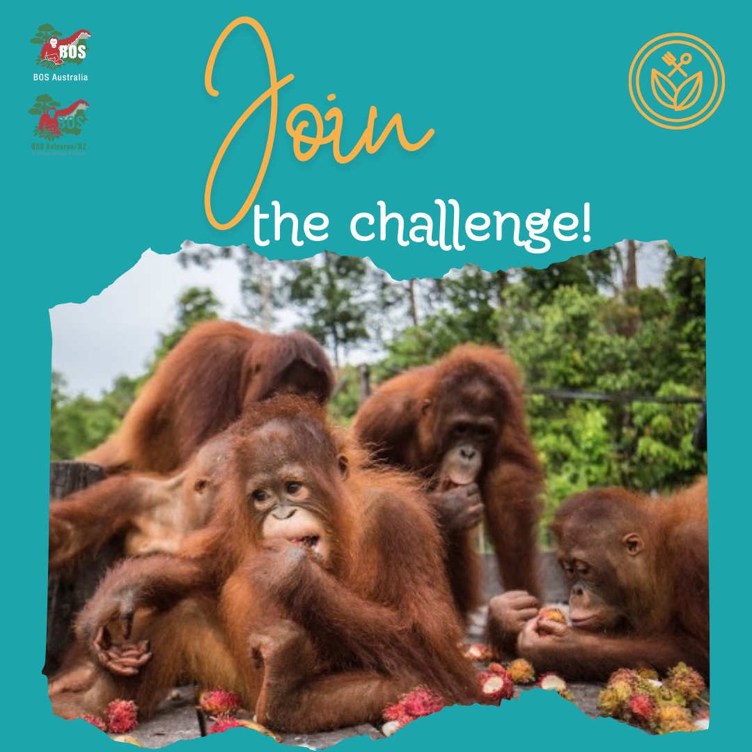 Are you up for a #challenge? Join in and go #meatfree in May!

veganeasy.org/30-day-challen…

As an #orangutan #conservation organisation, BOS Australia promotes a meat-free lifestyle that does not harm animals.

#saveorangutans #vegan