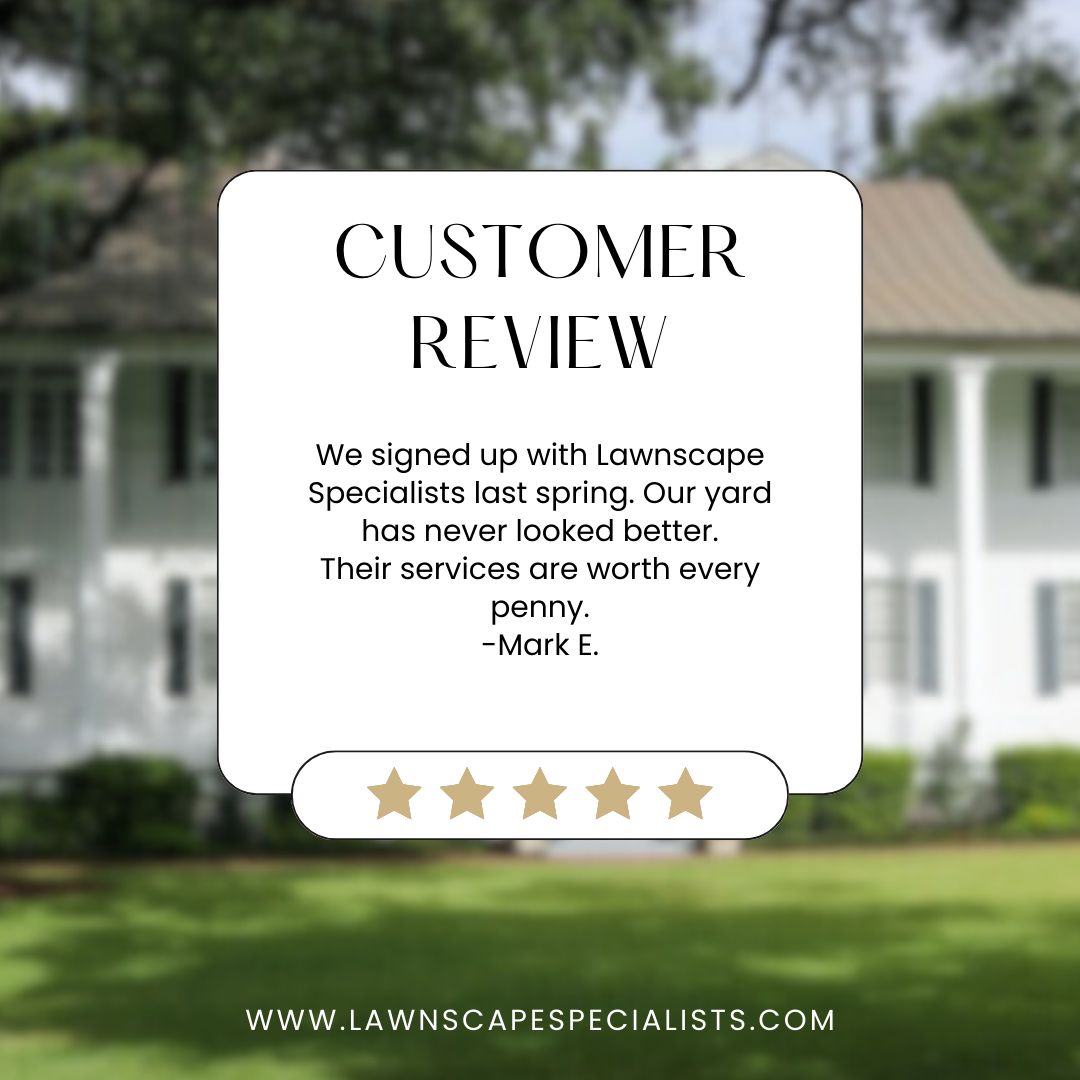 We firmly believe happy customers are the best advocates! Thank you for being a part of our journey + for letting us know how you feel. 🌟💚 #customerlove #feedbackmatters #gratefulforyou #thankyou  #satisfiedcustomers #lawncarebusiness #olathe #plattecity #libertymo