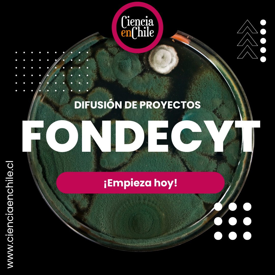 🚨 ¡Últimos dos días de plan especial! 

🚨 Reserva tu cupo 📝 y comienza a difundir tu trabajo y el de tu equipo de investigación. 🌟

Completa el siguiente link 🔗 forms.gle/DJyBaxHcTEpGvb… y nos pondremos en contacto. 📞

#Fondecyt #ANID #difusión #cienciaenchile