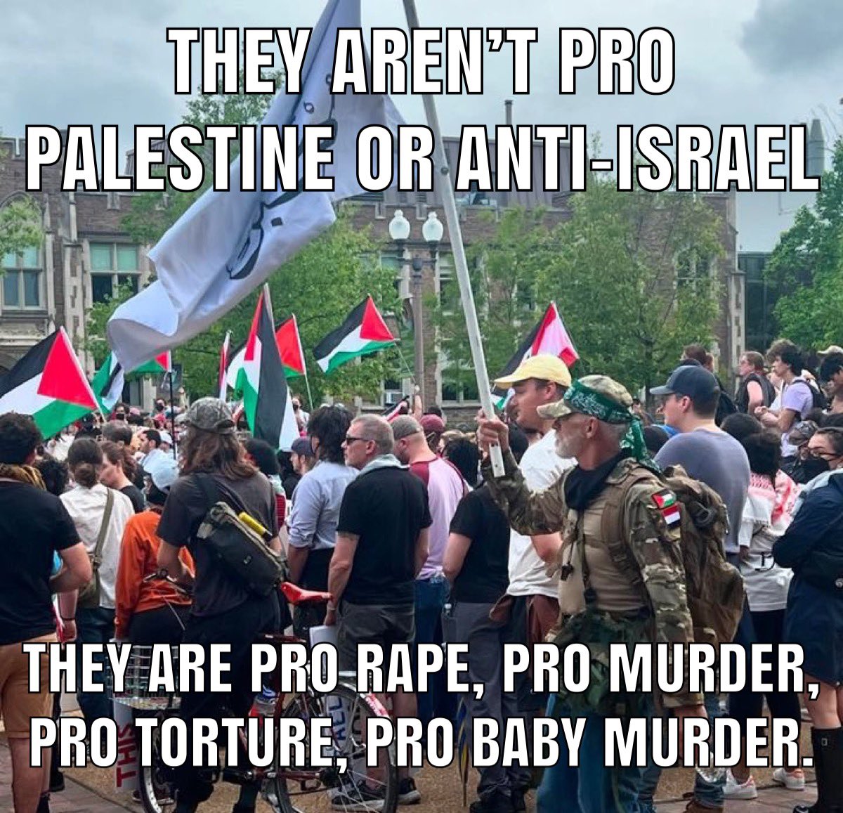 They aren't pro Palestine or anti-Israel.

They are pro r*pe, pro m*rder, pro torture, pro baby m*rder.

There's nothing idealistic or admirable about this hateful movement. This is what N*zis did. They need to move to Gaza and FAFO.