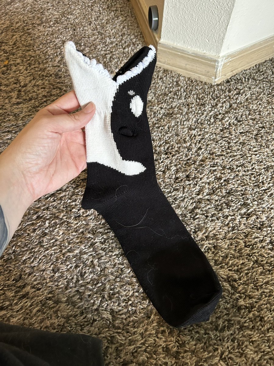These might just be the best socks I’ve ever found… #orca #funsocks