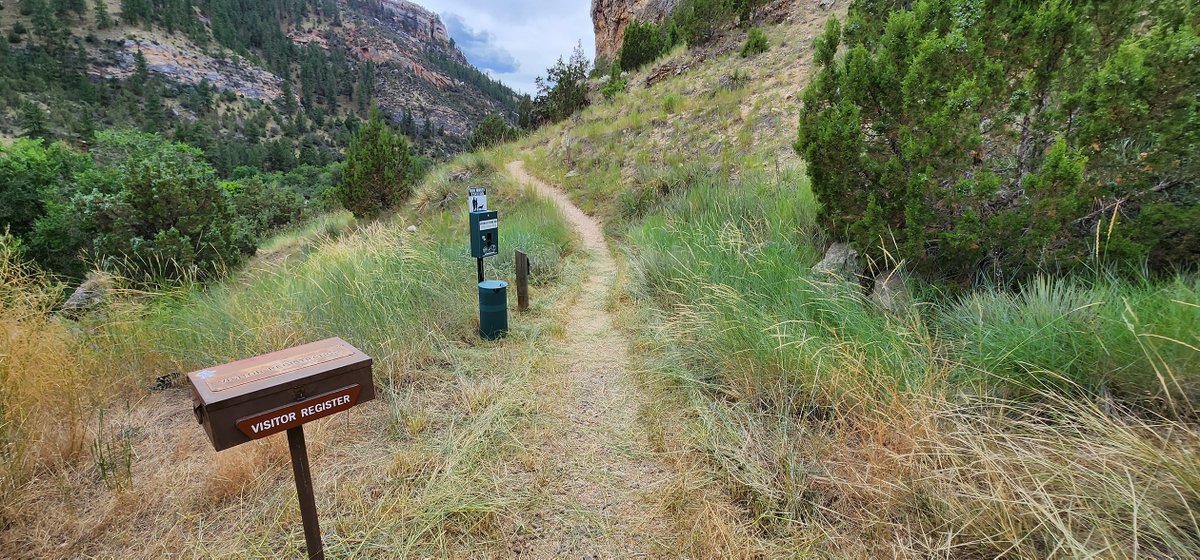 Heads-up at the Salt Lick Trail east of Ten Sleep: a ponderosa pine came down on the trail with other vegetation/debris. We'll be out tomorrow to clean it up. Please give the crew space and be on the lookout for other potentially hazardous trees/limbs.