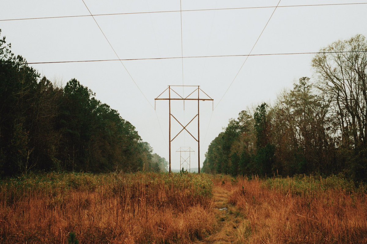 Rural Georgia on 35mm film